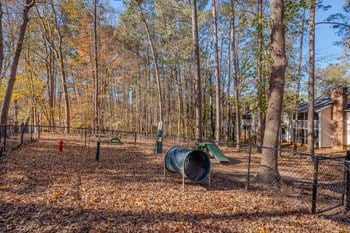 Dog park with agility equipment